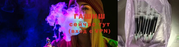 сатива Аркадак